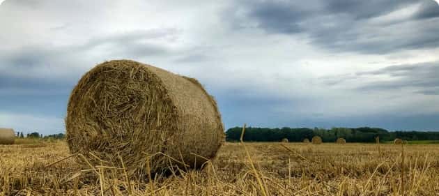 致力于提供高效、便捷的在线娱乐体验 - 旺财285