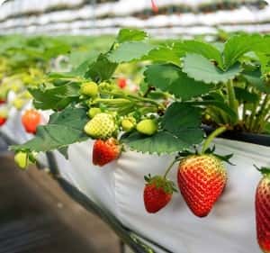 致力于提供高效、便捷的在线娱乐体验 - 旺财285