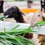 搜索 - 旺财285