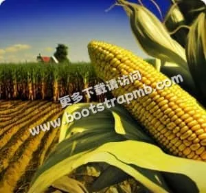 致力于提供高效、便捷的在线娱乐游戏体验 - 旺财285